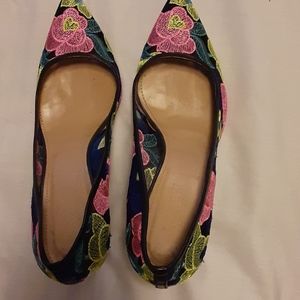 Beautiful Embroidered pointy toe pumps